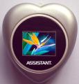 Assistant Assistant  AF-01100 silver   - �������� � ����������� ��������������